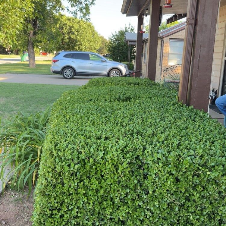 Landscaping and Construction in Wichita Falls, TX