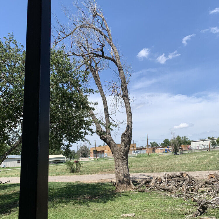 Landscaping and Construction in Wichita Falls, TX