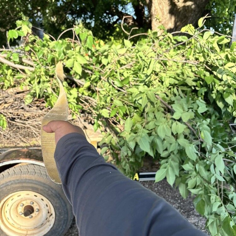 Landscaping and Construction in Wichita Falls, TX