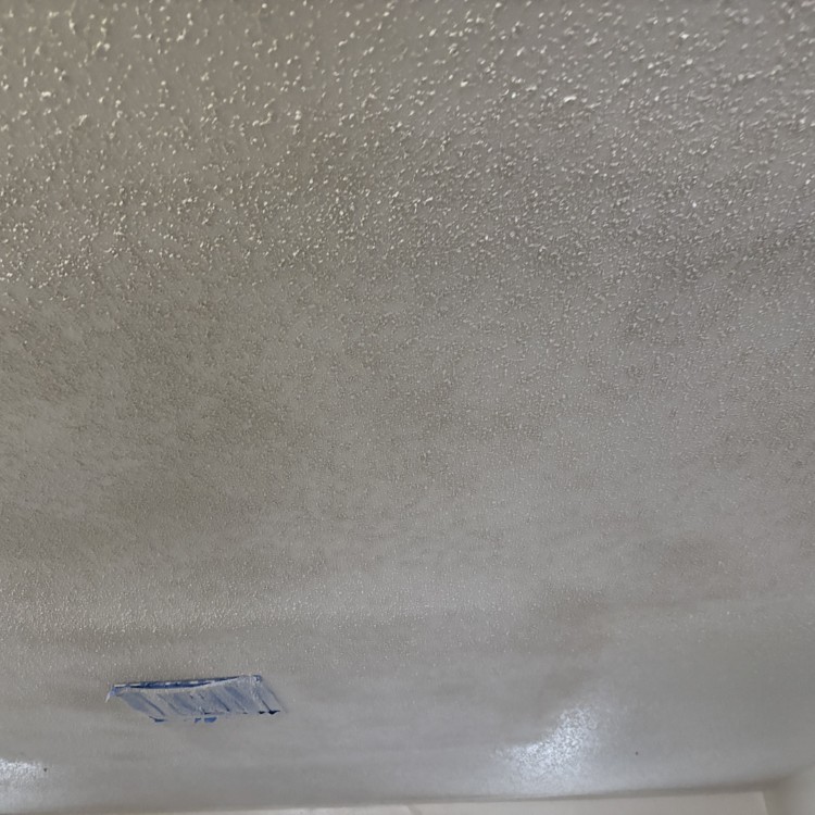 Landscaping and Construction in Wichita Falls, TX